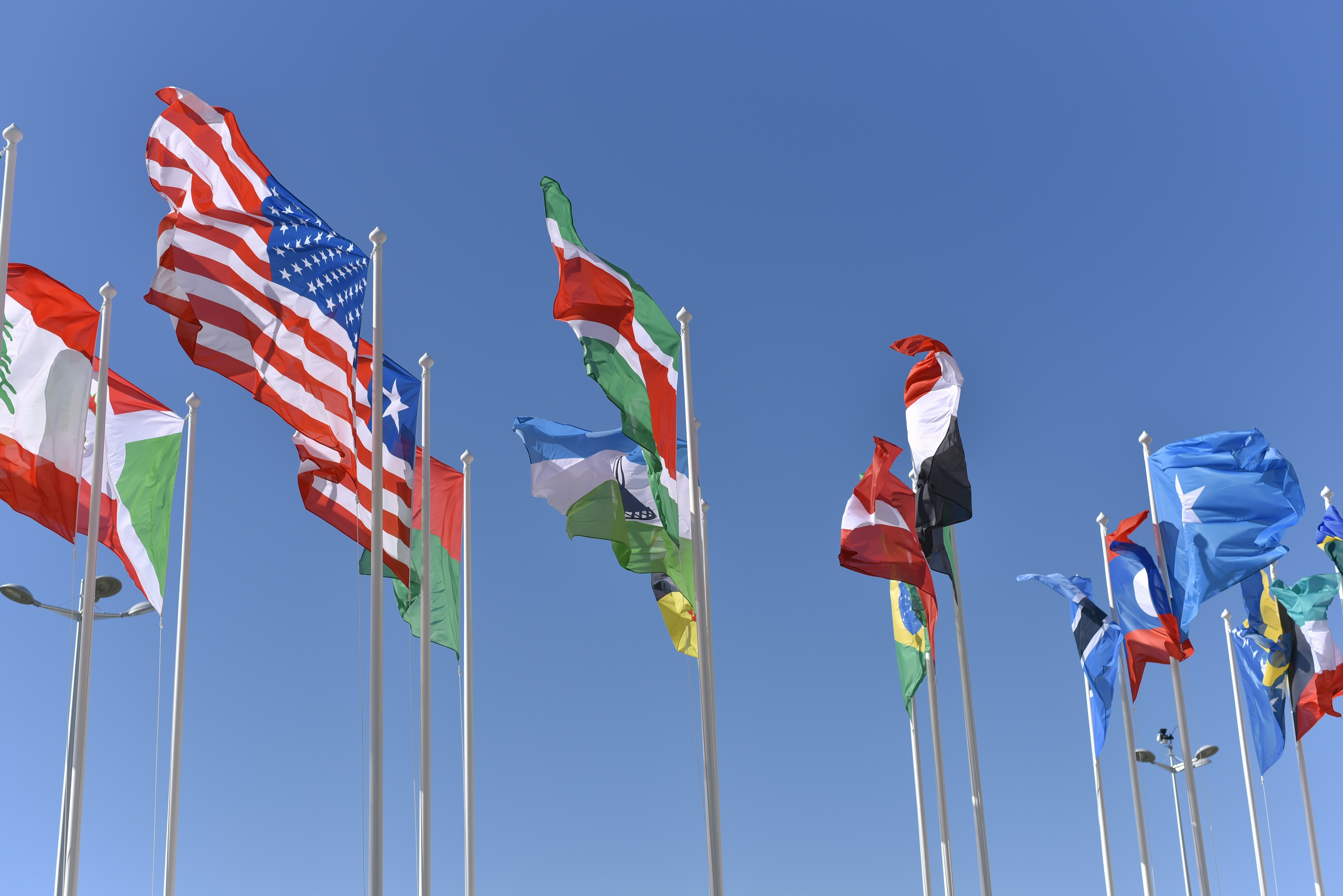 World flags